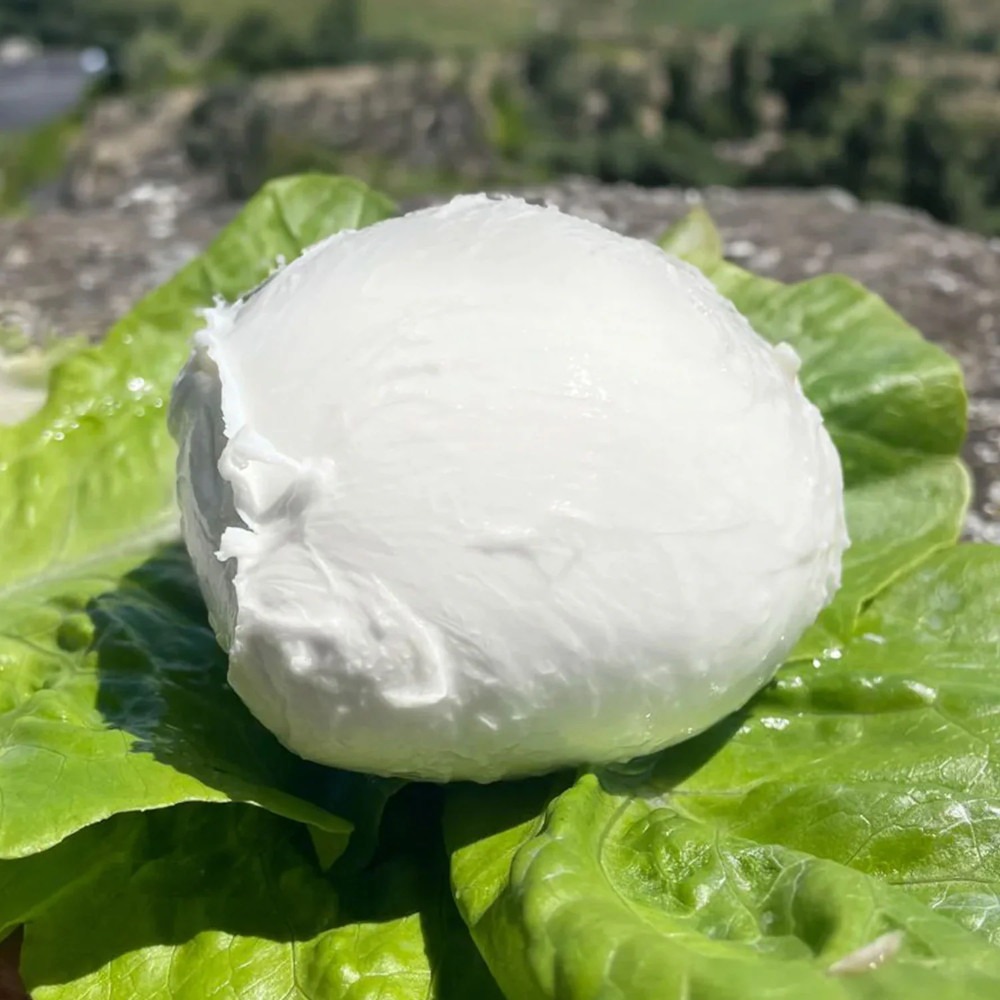 La Mozza "fior" (da caprese)